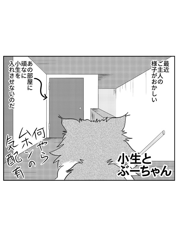 小生とぶーちゃん