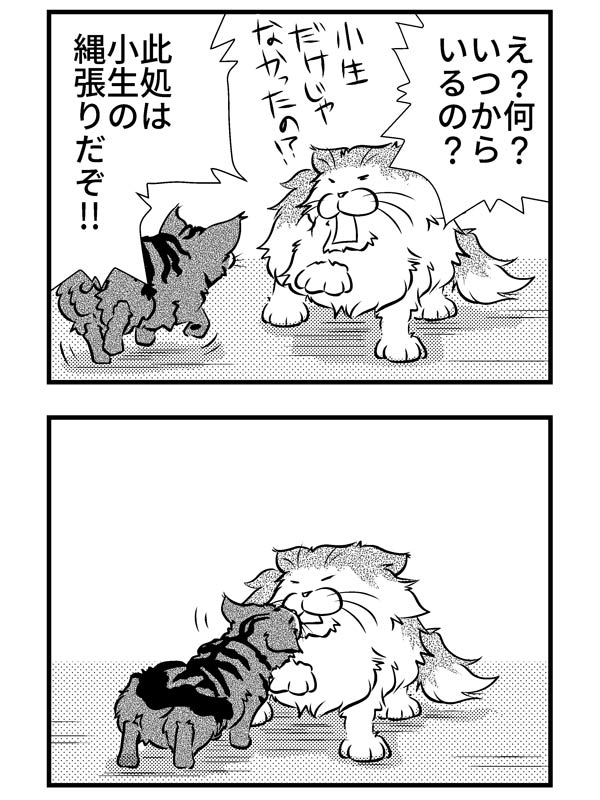 小生とぶーちゃん