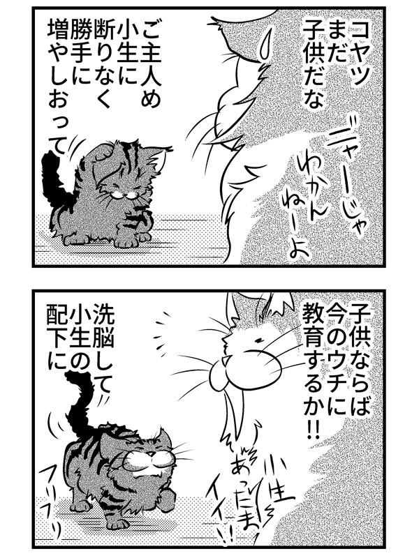 小生とぶーちゃん