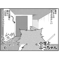 小生とぶ-ちゃん小生とぶ-ちゃん