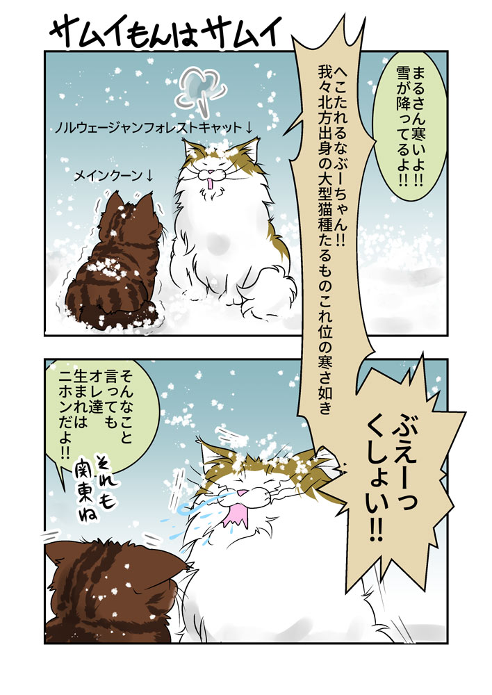 サムイもんはサムイ