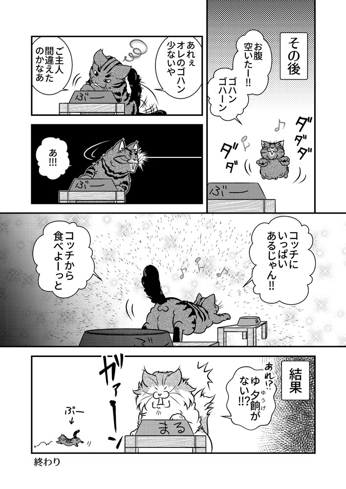 猫の道は猫