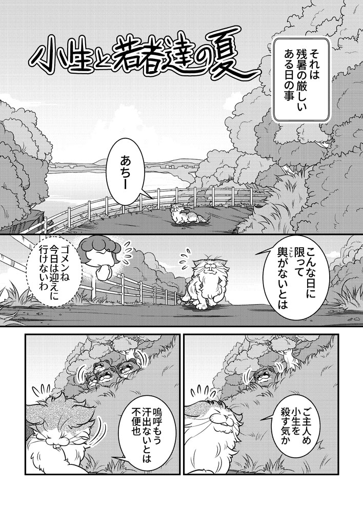 小生と若者達の夏