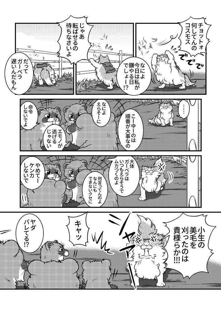 小生と若者達の夏