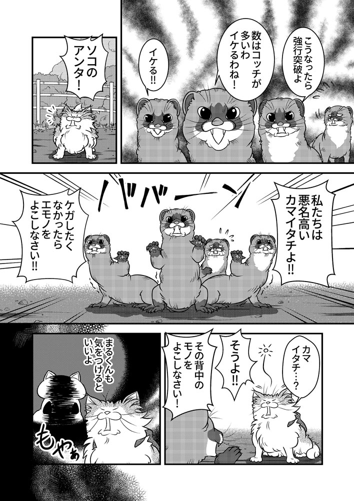 小生と若者達の夏