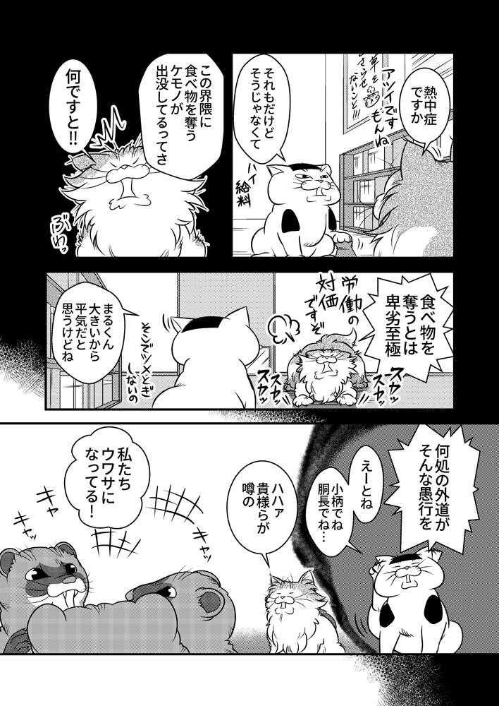 小生と若者達の夏