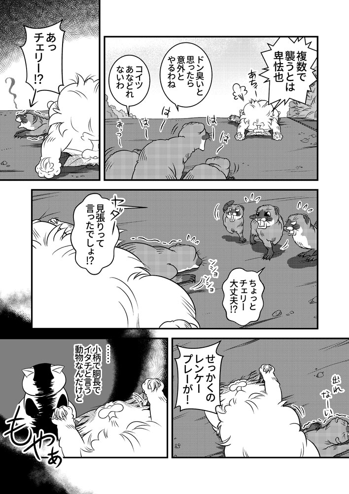 小生と若者達の夏