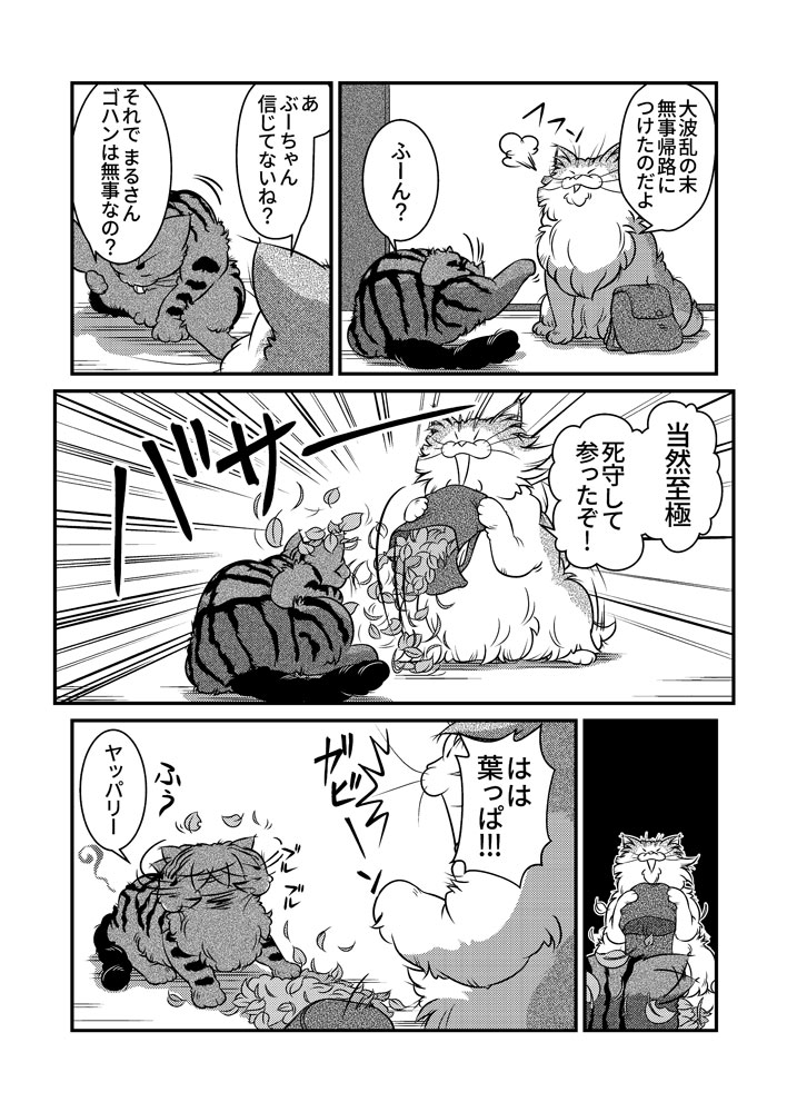 小生と若者達の夏