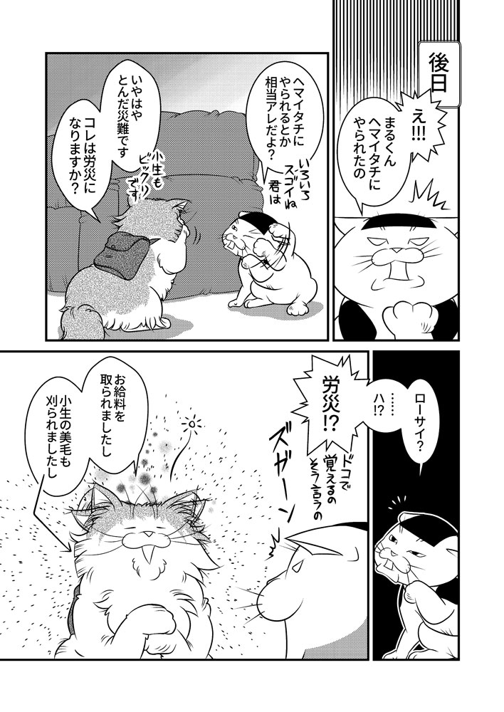 小生と若者達の夏