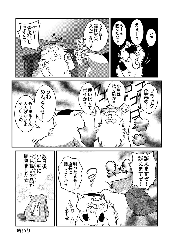 小生と若者達の夏