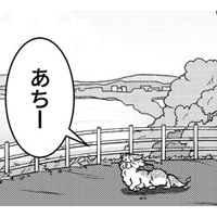 小生と若者達の夏小生と若者達の夏