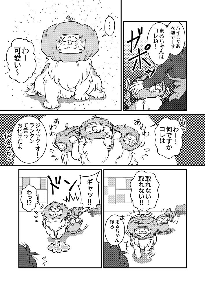 ハロウィンだぞ鳥・トリ・鶏