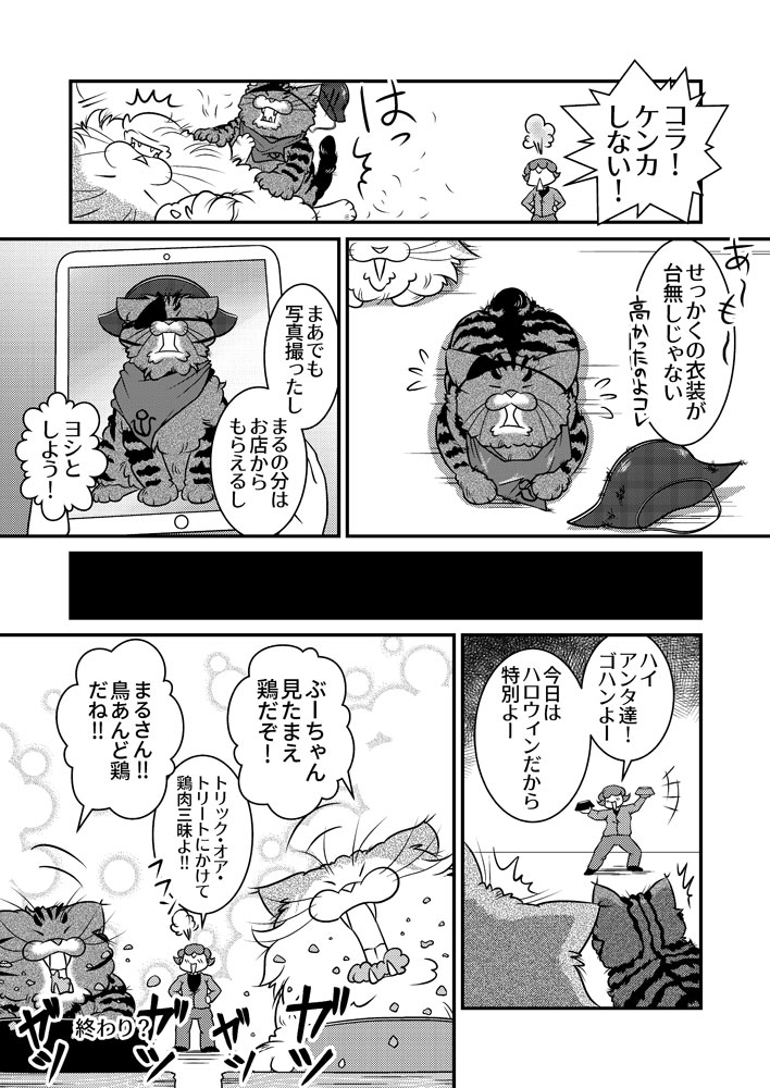 ハロウィンだぞ鳥・トリ・鶏