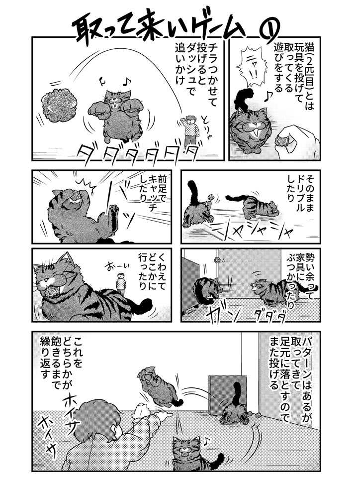 取って来いゲーム1