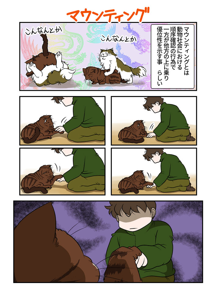 マウンティング