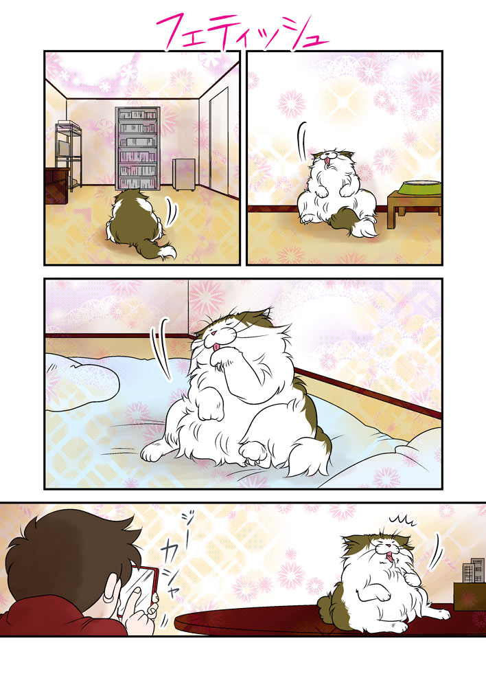 フェティッシュ