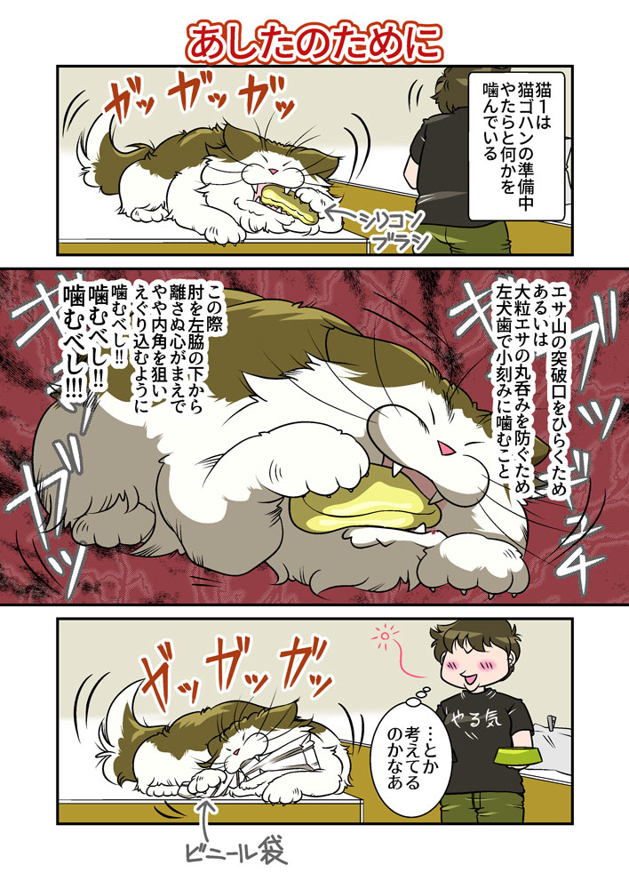 あしたのために