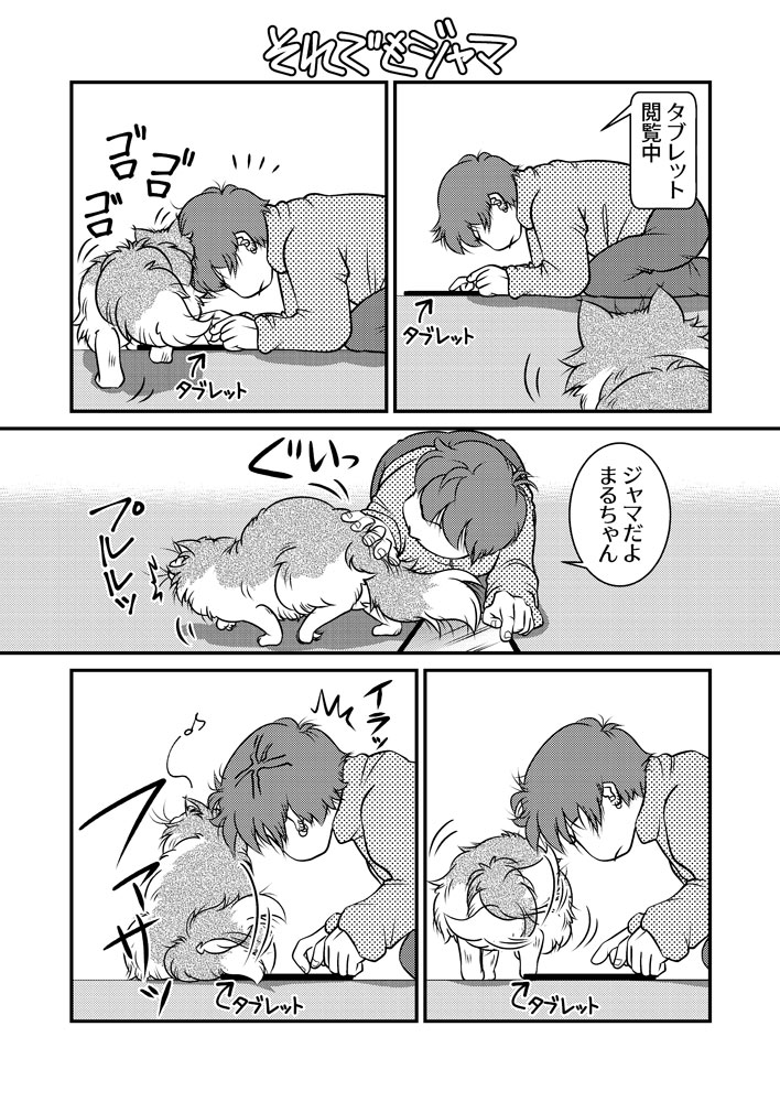 それでもジャマ