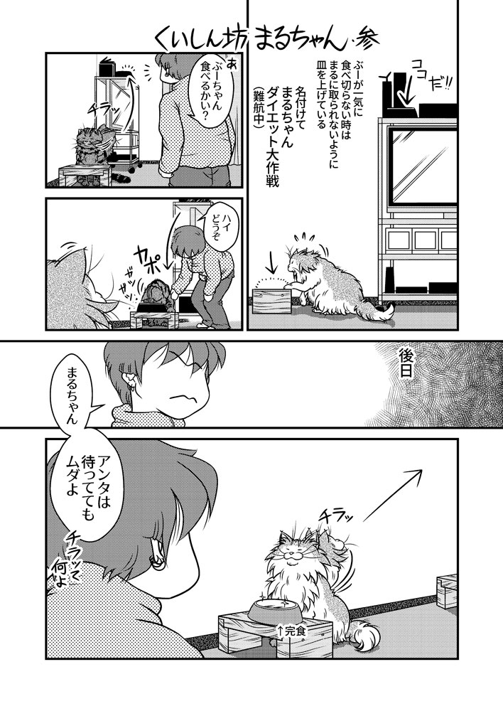 くいしん坊まるちゃん・参