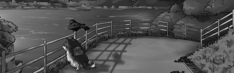 まるとハシモト